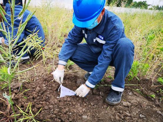 梅陇镇某A地块土地整理复垦（减）土壤检测项目1